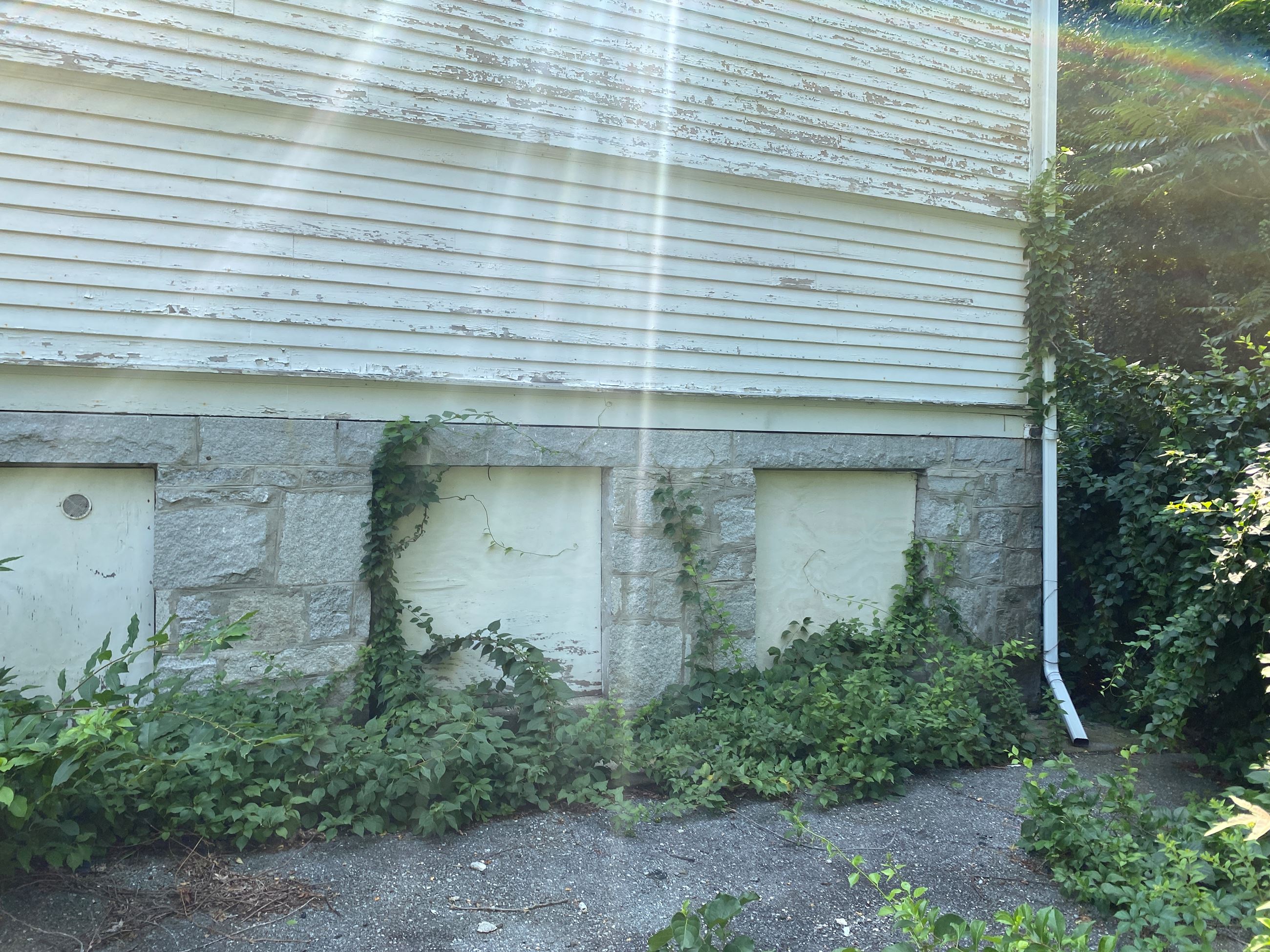 20210727_144948306_iOS