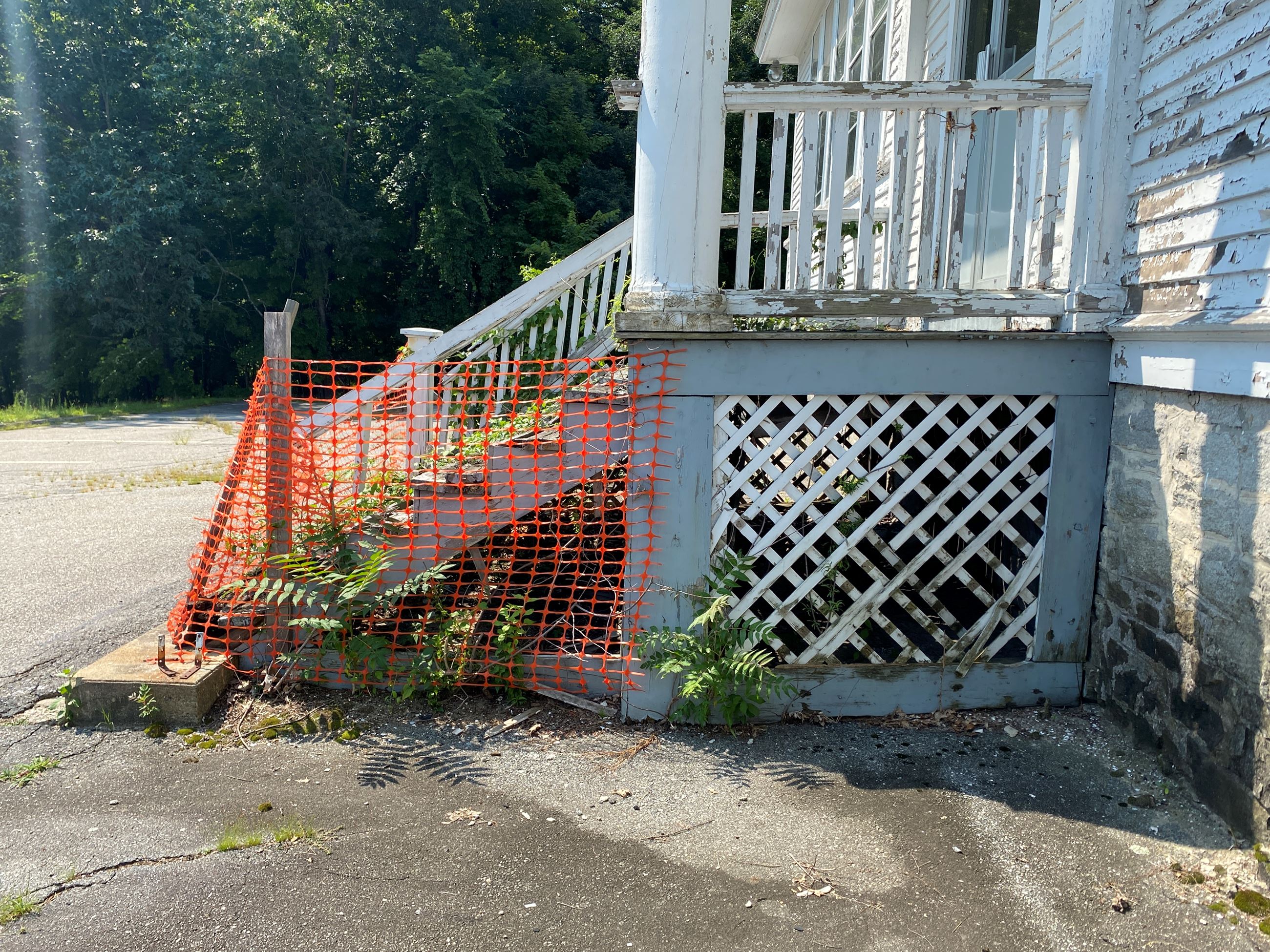 20210727_145254363_iOS